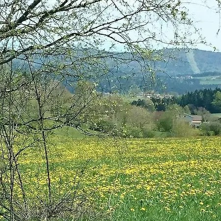 Hébergement de vacances Huettenurlaub-im-dreilaendereck *